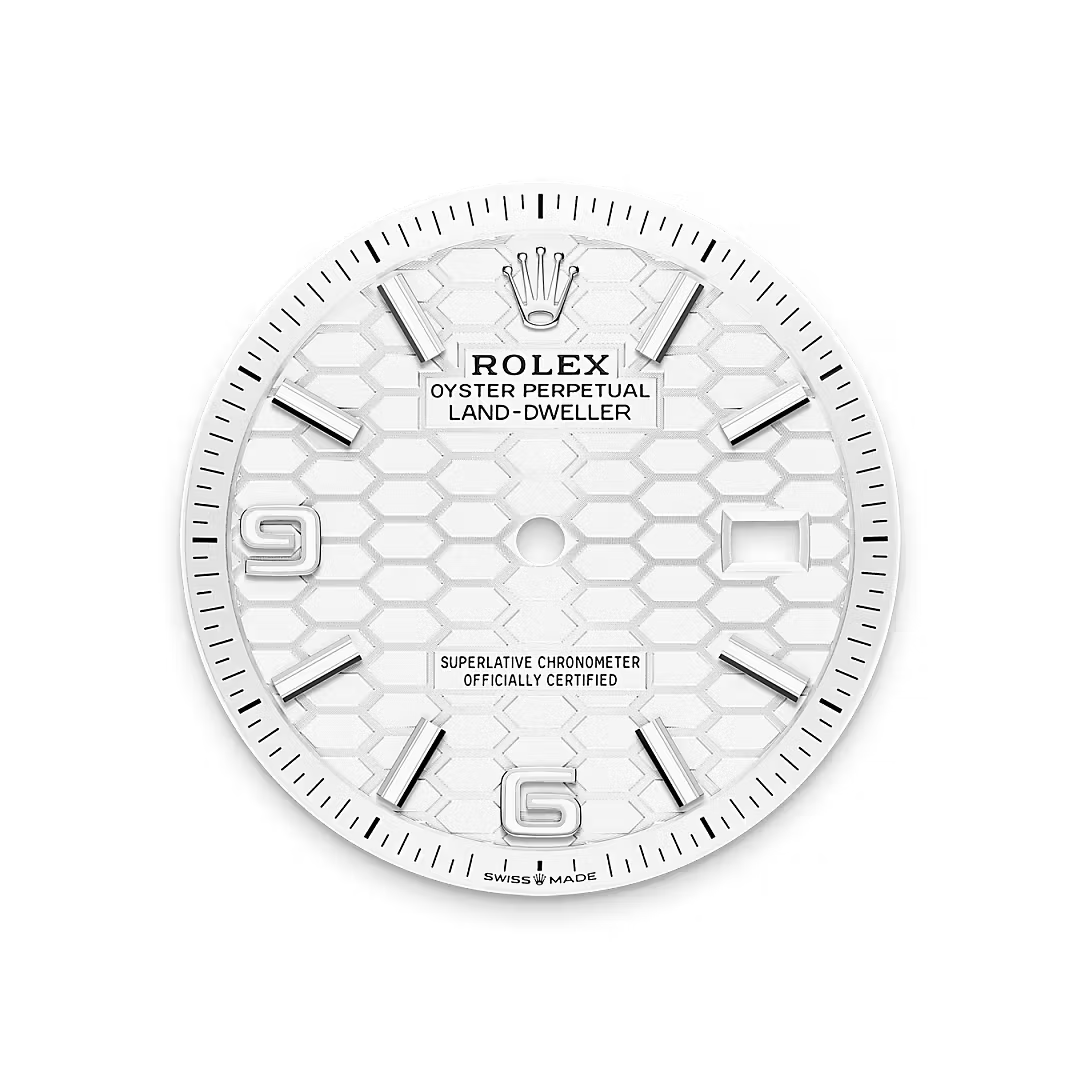 Rolex Land-Dweller，Oyster, 36 mm, Oystersteel WHITE GOLD