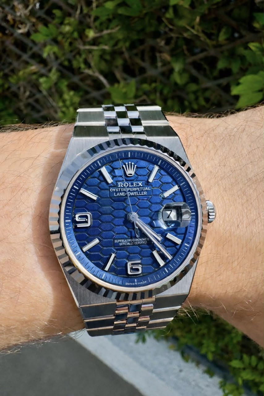 Rolex Oyster Perpetual Land-Dweller fond bleu roi