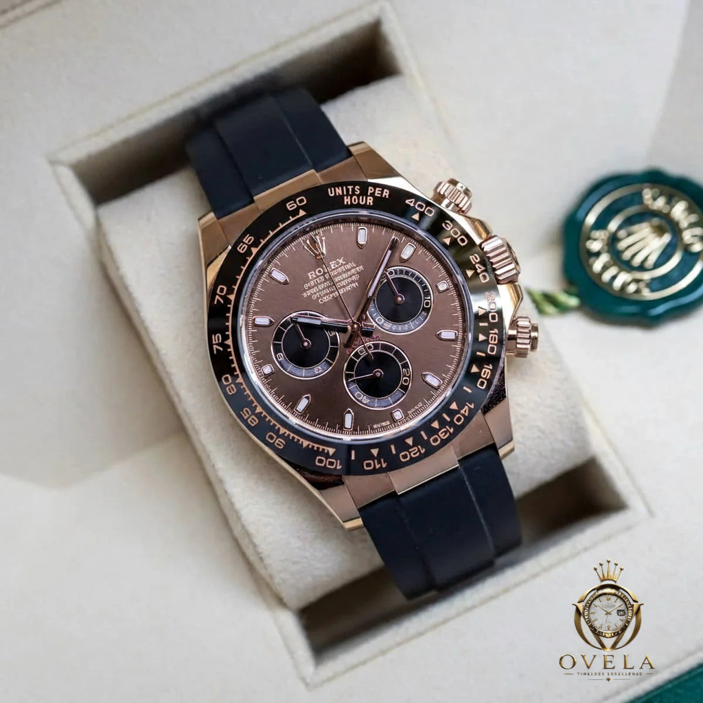 Daytona Choco Oysterflex - Boîte + OVELA