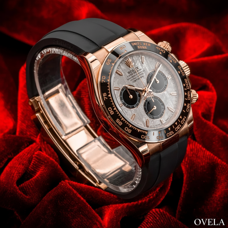 Daytona — Warranty Card