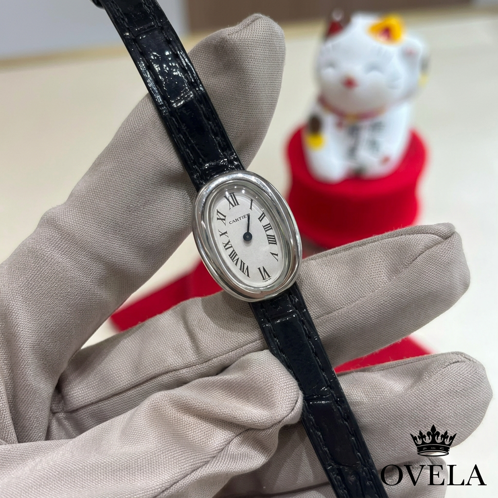Photo avec logo OVELA